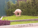 Piggy Statue