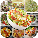 salad recipes 2016 Apk