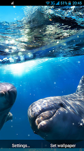 Delfín 3D Živá Tapeta - náhled