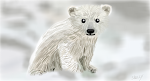 More Polar Bear!