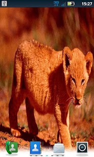 Lastest Color Cub LWP Pro APK