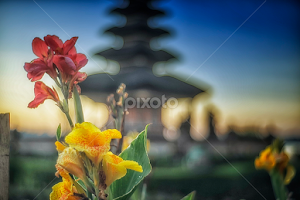 Flowers and temple by Indrawan Ekomurtomo -  