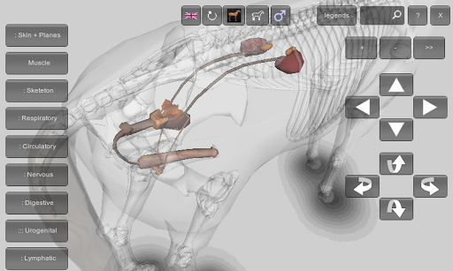 【免費教育App】3D Horse Anatomy Software-APP點子