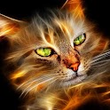 3D Magic Pics Wallpaper
