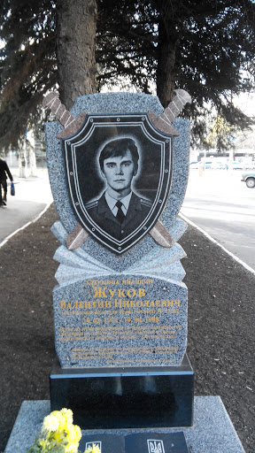 Memorial Zgukov V.M. 