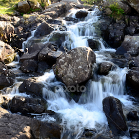 by Marie Leather - Nature Up Close Water