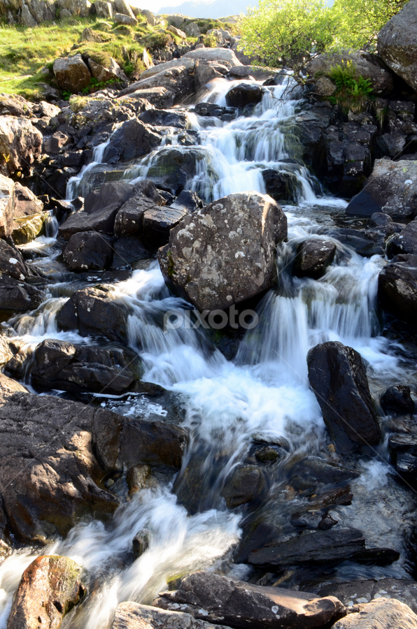 by Marie Leather - Nature Up Close Water