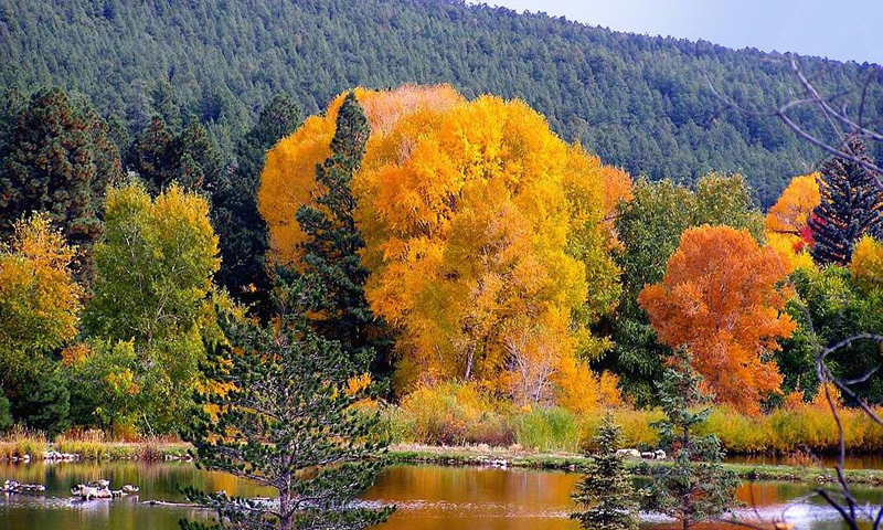 Autumn wallpapers Screen 1