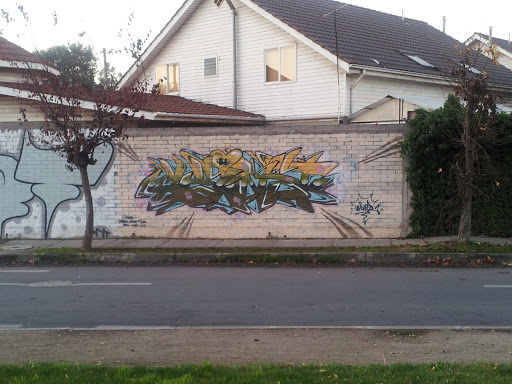 Grafiti Callejero