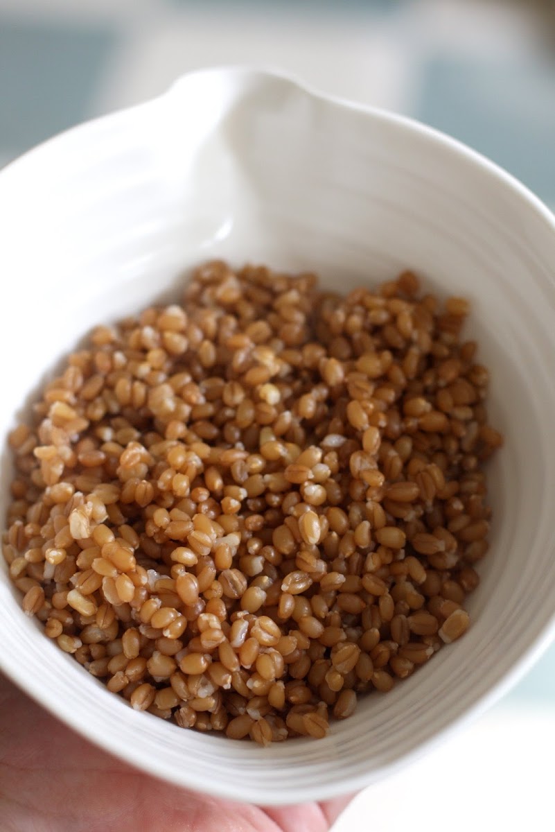 10 Best Wheat Berries Recipes