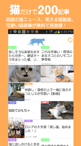 もっとねこ 猫好きのための猫まとめ