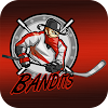 NJ Bandits