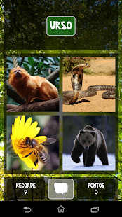 How to download Quiz Animal Infantil Educação lastet apk for laptop