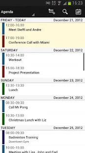 Business Calendar Pro - screenshot thumbnail