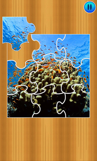 Sea Puzzles