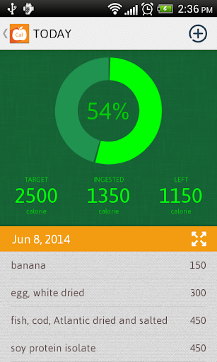 Calorie Counter