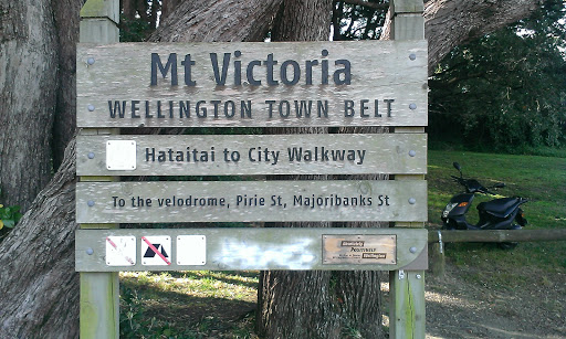 Mt Victoria Town Belt