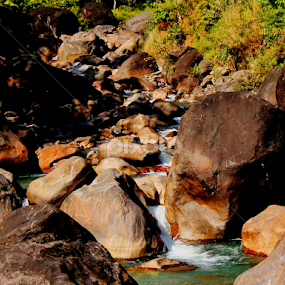 Side Please! I'm in Hurry...:) by Suvajit Malik - Nature Up Close Water