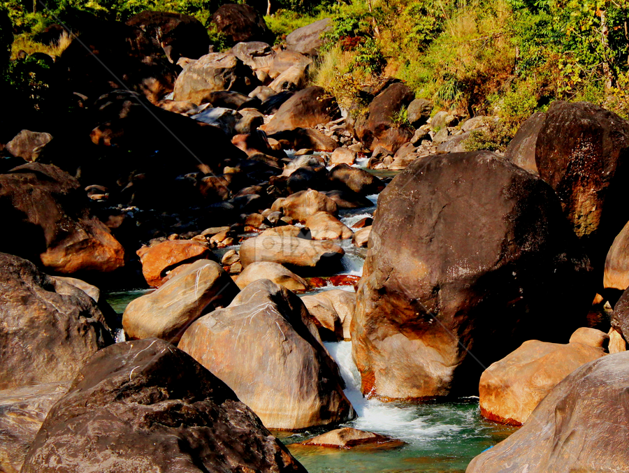 Side Please! I'm in Hurry...:) by Suvajit Malik - Nature Up Close Water