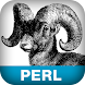 Perl Cookbook