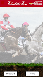 Charleston Cup poster 4