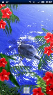 Free Download Tropical Ocean-Bluesky Trial APK