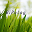 Mediant BiPoLog Download on Windows