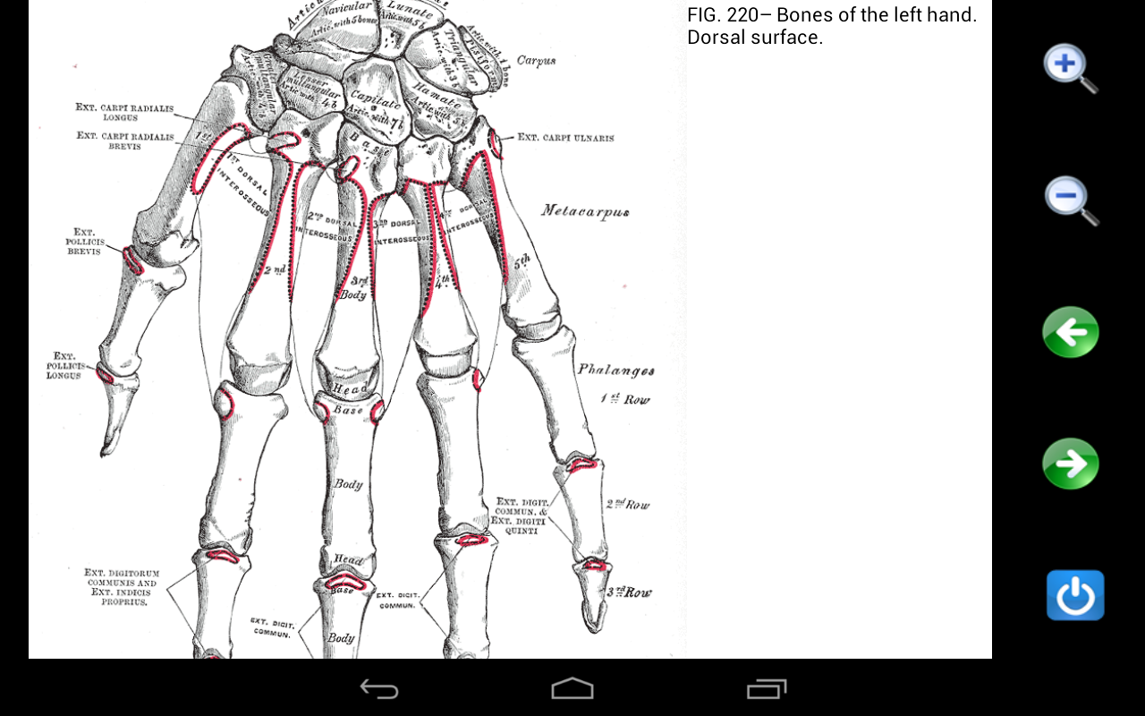 Visual Anatomy (payant +free) SBqhYjgBym54gVDbUTl2Dx834Z7OuG8AVE--O8x12RSLYRsJDfFFsDH5zSIzc9Z7vD8=h900