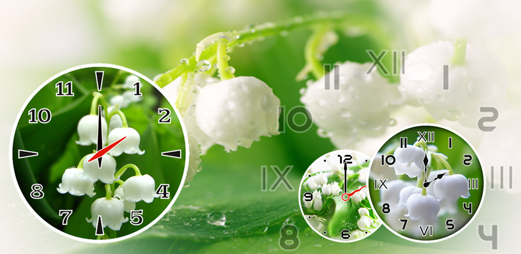 Долина часы. Природные часы. Долина часы. Долина часы. Долина часы.