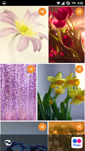How to download Flowers Wallpapers HD 1.0 unlimited apk for pc