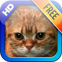 Animated Kitty Live Wallpaper