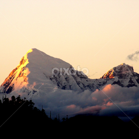 by Tarunjyoti Tewari - Uncategorized All Uncategorized