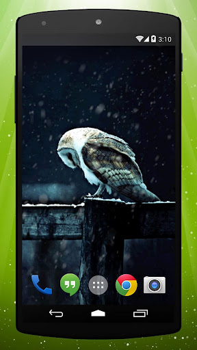 Night Owl Live Wallpaper