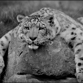 by Ita Martin - Uncategorized All Uncategorized