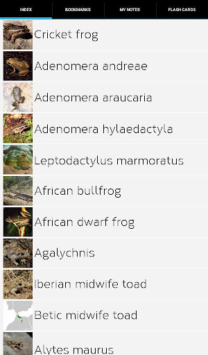 Frog Species: Types of Frog