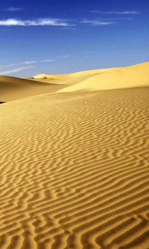 免費下載娛樂APP|SAHARA DESERT HD WALLPAPER app開箱文|APP開箱王