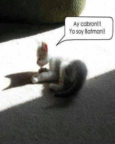 humor para chats