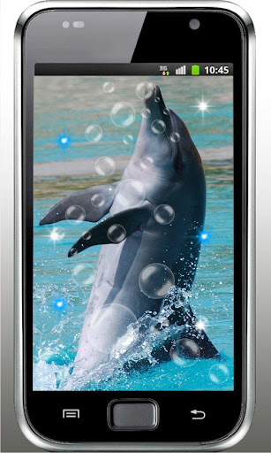 Dolphin Foto HQ live wallpaper