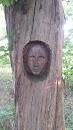Gesicht Im Baum