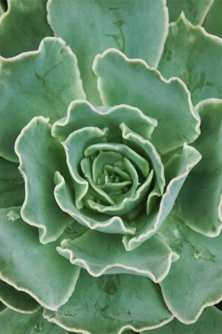 Wallpapers HD Android