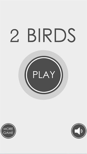 2 Birds