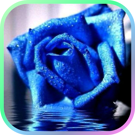 Blue rose Live Wallpaper LOGO-APP點子