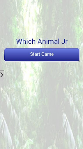 Which Animal Jr