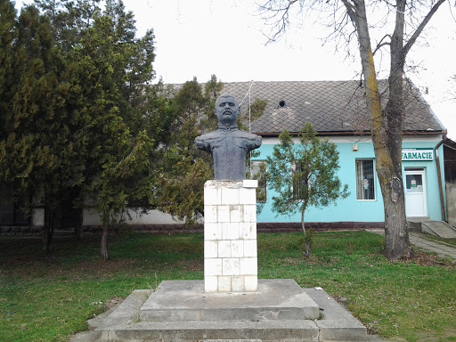 Bustul Lui Alexandru Ioan Cuza,Iara