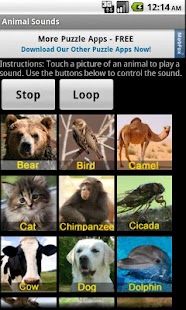 Animal Sounds