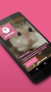 Download Guinea Pigs and Hamsters 2 PRO APK for Android