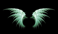 天使の羽の壁紙 Androidアプリ Applion