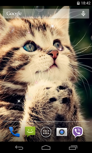 Cute Cats Live Wallpaper