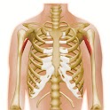 Virtual Radiographer logo