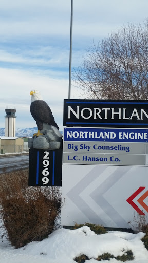 Northland Center Eagle Statue